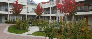Arkitekten bakom prisade Stadsparken: "Jag är nog lite kär"