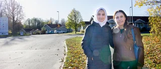 Mer av svenska språket för varje dag