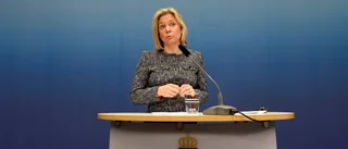 Rödgrön mellanmjölk