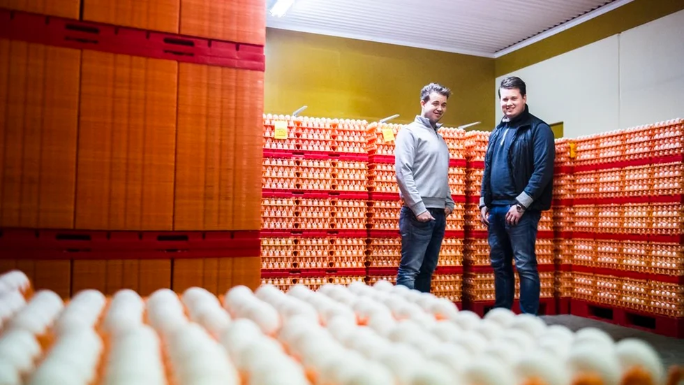 Carl och Axel Bergquist bland tusentals nya ägg. Gården har precis börjat hämta sig efter fågelinfluenssmällen tidigare i våras, men går på halvfart. 25 000 nya hönor kommer i februari.