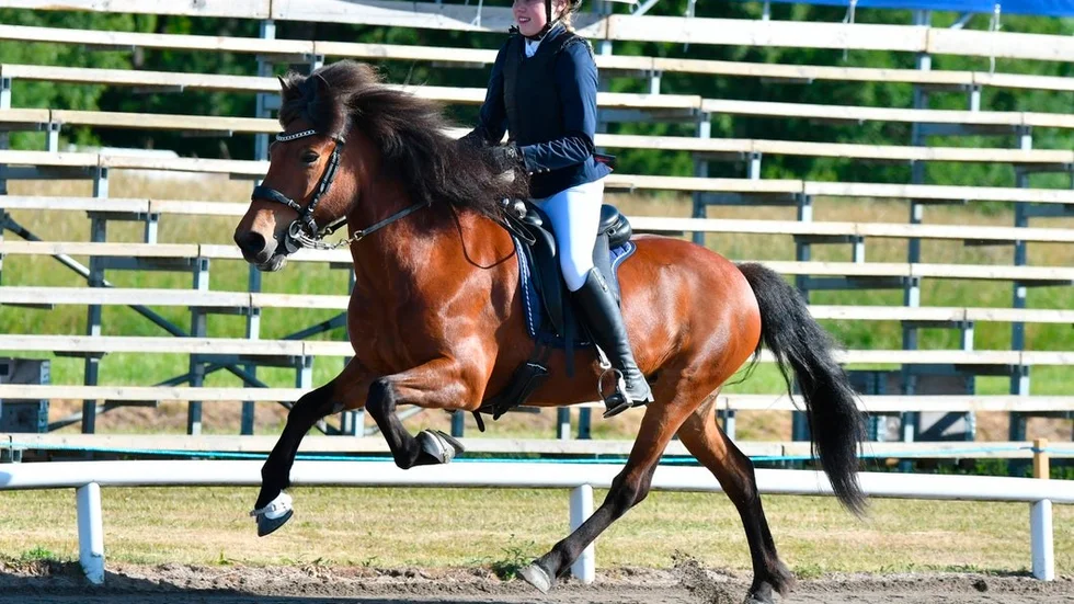 Jonna Andersson och  Viska fra Kjartanstödum lämnade SM-tävlingarna på islandshäst i Eskilstuna med både ett silver och ett brons. Foto: Zanna Hofvander