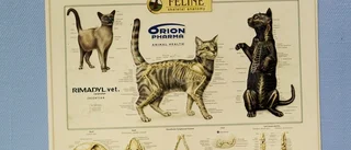 Distriktsveterinärerna har vuxit ur sina lokaler