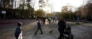 Miljöpartist förtjust i nya parken: Här har det blivit ljusare och jättefint