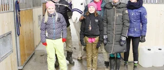 Knappt två år efter branden – Sundbystallet är tillbaka!