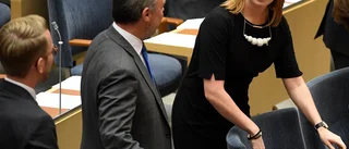 Debatt: "Både C och L borde säga ja till det sociala EU"