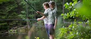 Få nappade på fiskegemenskap