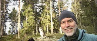 Artificiell natur nästan lika bra som riktig