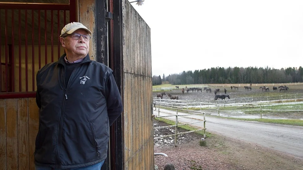 Anders Bredberg på Norrby Säteri. Bakom honom är det en hel del hästar med "Brick" i namnet, som betyder att de fötts upp på just hans gård.