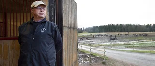 Anders om stjärntravhästen: "Jag tänkte sälja honom på auktion först"