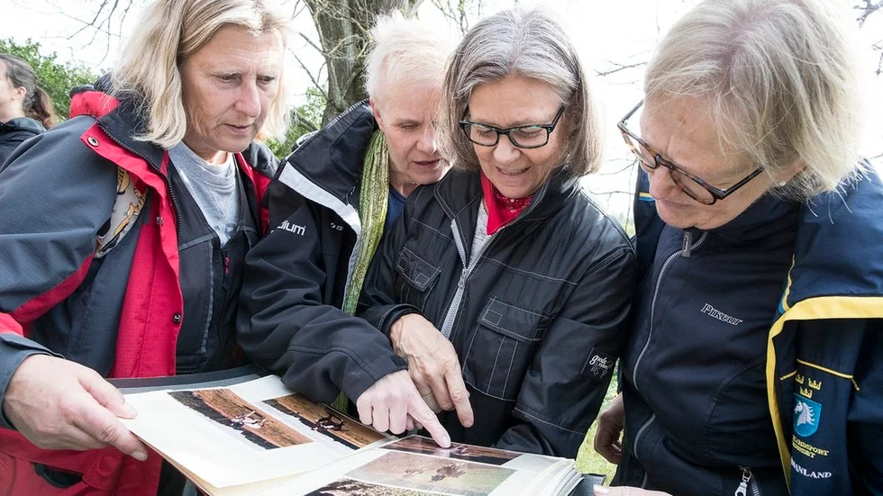 Gun Bengtsson, Carina Frölund, Marie Axelsson och Annette Karlsson gör en djupdykning i ett av alla fotoalbum.