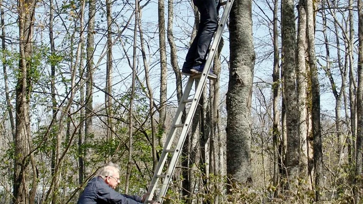 Att sätta upp fågelholkar som barn tillverkat under äventyrsdagen vid Ulva förra helgen var en av sakerna som skulle göras under lördagens arbetsdag.