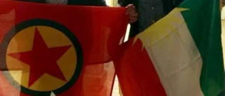 "Svenska regeringenmåste agera mot IS"