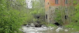 Svärta gård – ett kanonställe