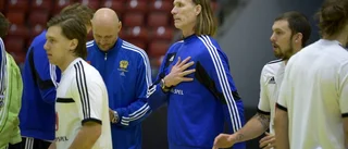 Sverige möter Montenegro