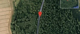 Olja på vägen stör trafiken på väg 733