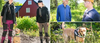 Skelettsökande hunden gjorde nytt fynd – vid omtalade vägen nära Sven Sjögrens hus 