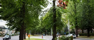 Stopp för snabbt byte av lindarna