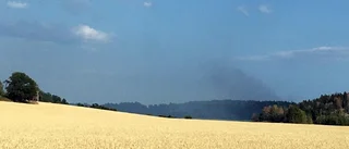 Blixtnedslag trolig orsak till skogsbrand
