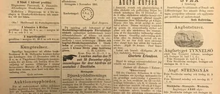 Lucköppning i arkivet – 3 december 1881
