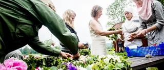 Guide: Här finns 22 midsommarfiranden i SN-kommunerna