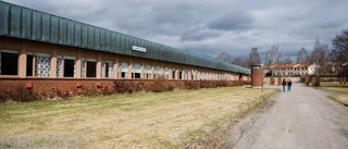 Rekordstora investeringar väntar nästa år
