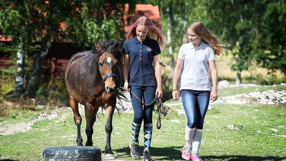 I sitt brev frågar trettonåriga Malma Enoksson och Meja Alenius politikerna hur viktig ridsporten egentligen är för kommunen?