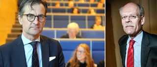 Deltidsgotlänningen blir ny riksbankschef – efterträder Stefan Ingves • ”Har en bred och djup erfarenhet”