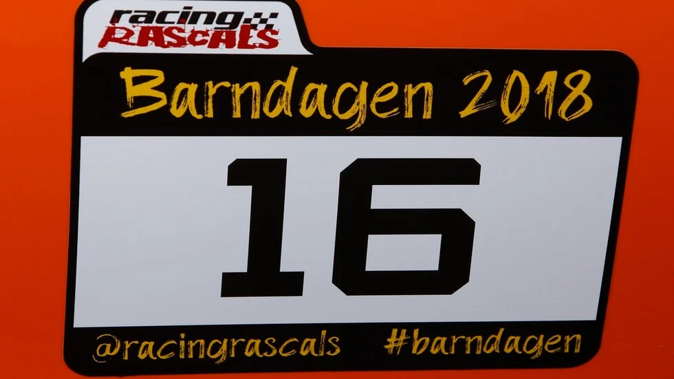 Barndagen 2018, arrangerades i Eskilstuna på lördagen.