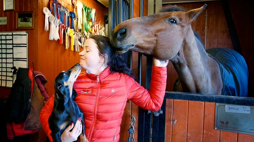 Hunden Caesar och hästen Stella visar sin uppskattning till Sara Li Vestberg som verkligen njuter av att jobbet som ryttare och tränare.