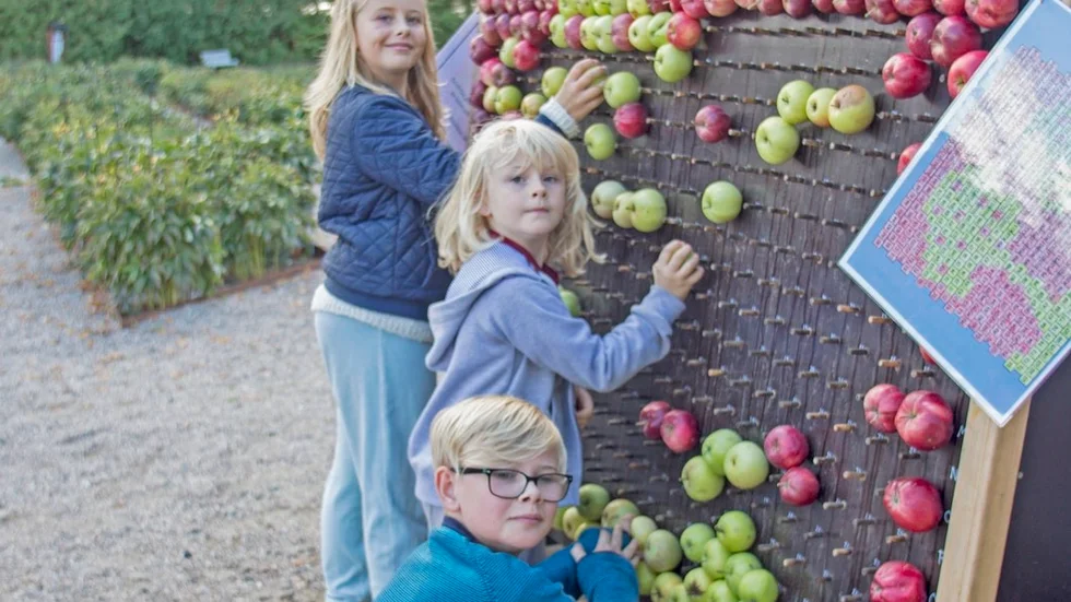 Syskonen Albin, Ebba och Stina Åberg från Örebro hjälpte under lördagen till att måla en tavla med äpplen i olika kulörer.