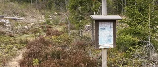 Utmaningen: en natt under bar himmel varje månad