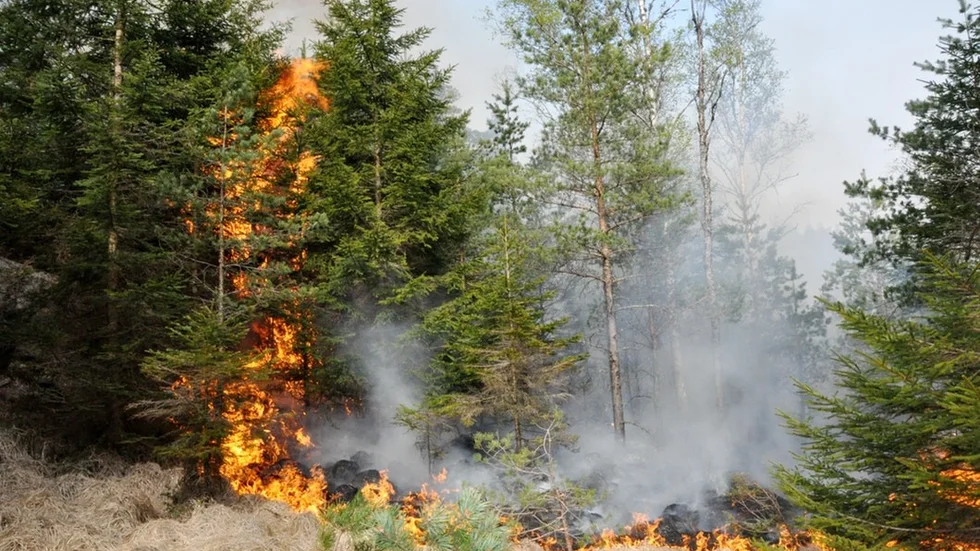 Det är inte ovanligt att skogsarbeten orsakar bränder. På grund av det torra vädret har Strängnäs kommun valt att pausa röjningar och avverkningar. Bilden är tagen i ett annat sammanhang.