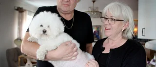 Diva attackerades av lös hund – fick avlivas: "Hon bara skrek"