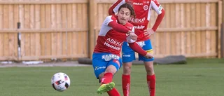 Bissarna utan spets på spelet