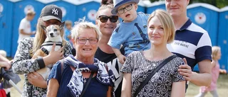 Vad har varit bäst på 700-årsfestivalen?