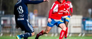 Bissarna överkörda av Husqvarna