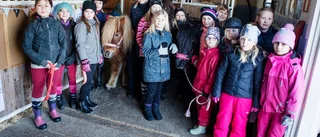Hästarna blev ompysslade på lovet