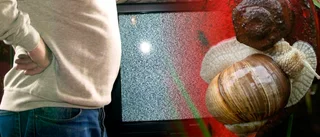 Oxelösundsbo avslöjades – polisanmäld för att ha tittat på tv utan att betala licensen