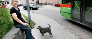 Först blir hon nästan påkörd sedan får hon en utskällning