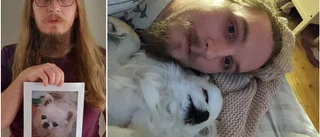 Chihuahuan Ulfrich bets ihjäl av en annan hund • Ägaren: ”Jag såg honom ligga i en blodpöl”