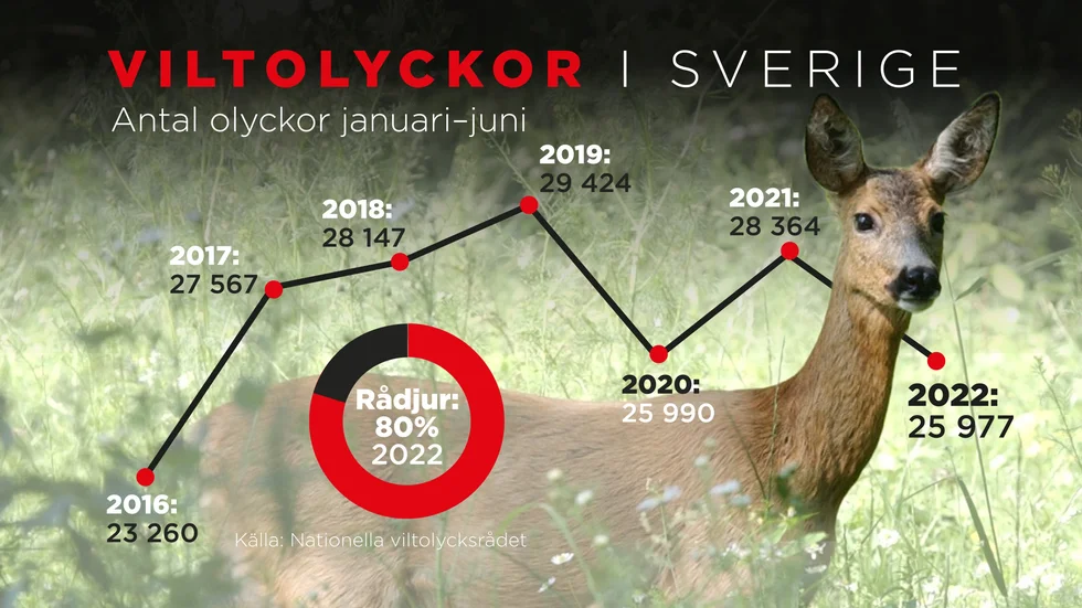 Antal olyckor för perioden januari–juni 2016–2022. Förra året slutade till sist med 65|430 viltolyckor, vilket var en ny rekordnotering.
