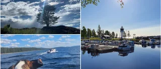 Sol, vind och vatten – läsarnas bästa bilder från juli