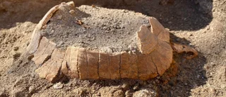 Nära 2 000-årig sköldpadda funnen i Pompeji
