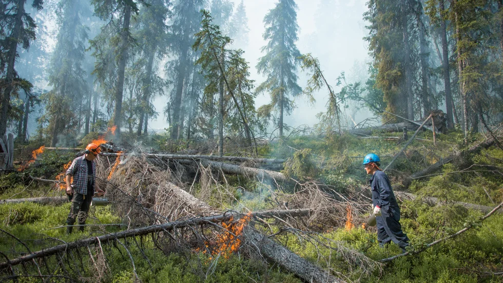 Striden om skogen i Jokkmokks allmänning fortsätter. De mindre skogsägarna uppmanar nu till bojkott av SCA. Här skogsbränning i Jokkmokks allmänning.