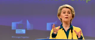 EU bör hålla dörren öppen för Ukraina