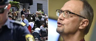 Dådet i Visby – en bekräftelse av Säpos oro? • Experten: ”Man kan se två tendenser”