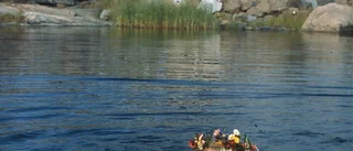 Sommaren är kort och förrädisk i "Sommarboken" • Tove Janssons älskade skärgårdsklassiker firar 50 år