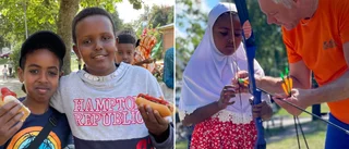 Linbana, bågskytte och korvgrillning: ''Idén är att ge barn i hyresbostäder ett skogsliv''