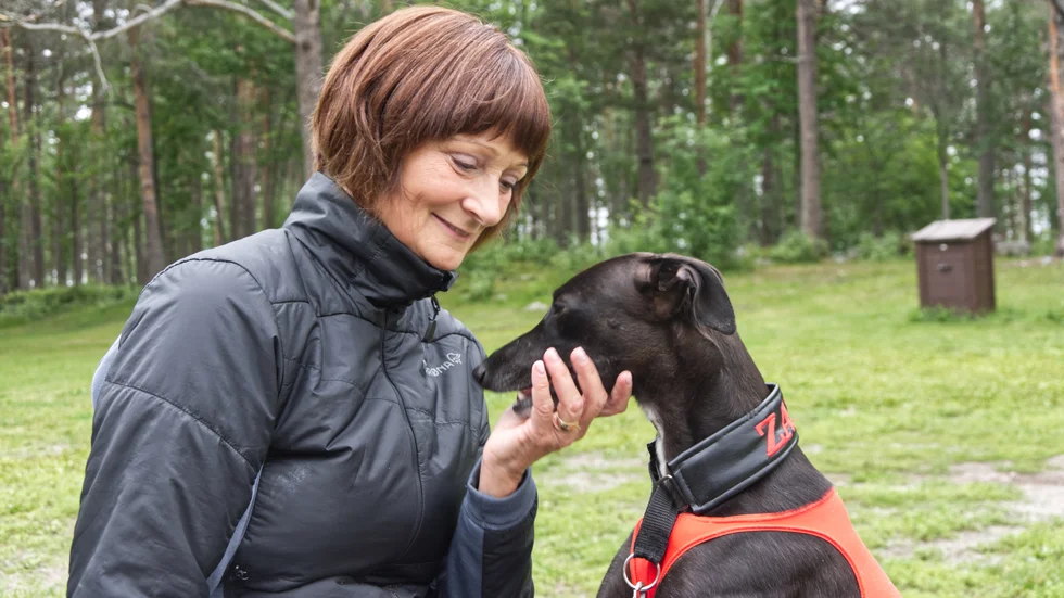 Maritha Nordström förklarar att hundarna kan se lite skräckinjagande ut på tävlingar men att de är superlugna hemma. "Hon är en riktig morsgris" säger hon. 