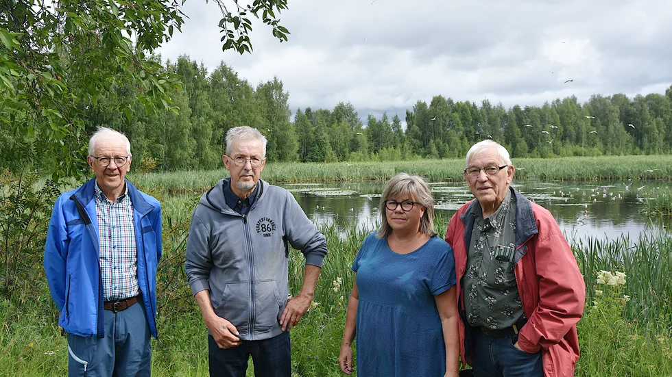 Svartbjörnbyns byaförening har noterat en ökning av måsar i byn. Bert Wiklund, vice ordförande, Torbjörn Lidberg, medlem och markägare, Karina Grönberg, sekreterare, och C-L Persson, ordförande. Mellan byn och soptippen ligger fågelskyddsområdet Nedre Avan.